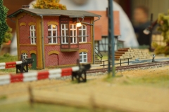 DSC09685-1